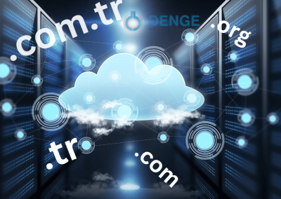 Domain – Hosting Hizmetleri